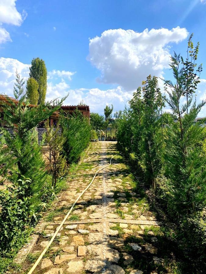 Blerina Casa di campagna Ljaknasi