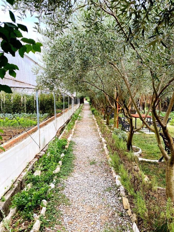 Blerina Casa di campagna